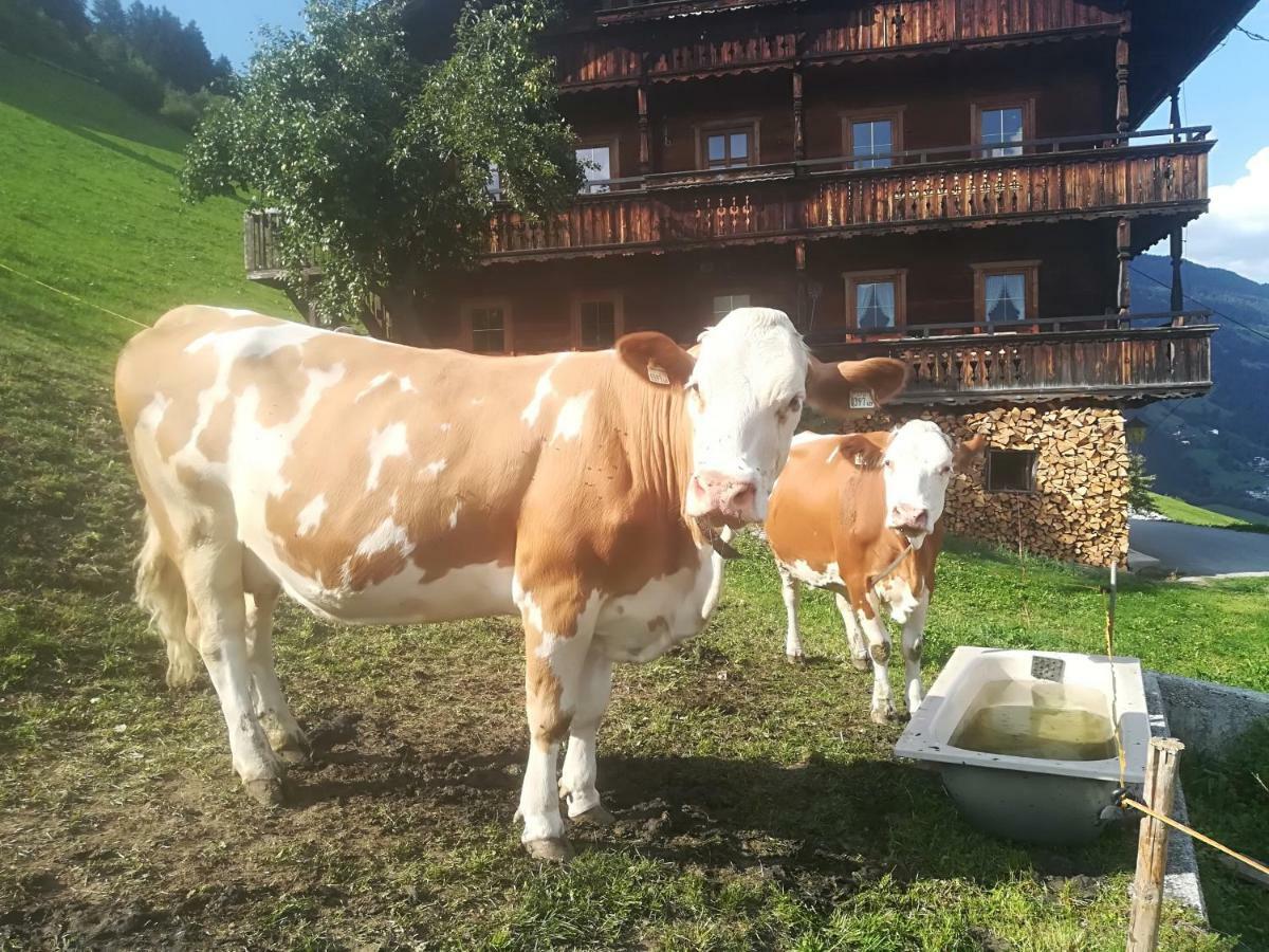 Bauernhaus Fankhauser Hippach Εξωτερικό φωτογραφία